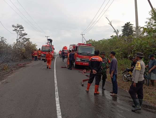 
					Kegiatan Pemadam Kabakaran Kabupaten Natuna yang berupaya memadamkan api.