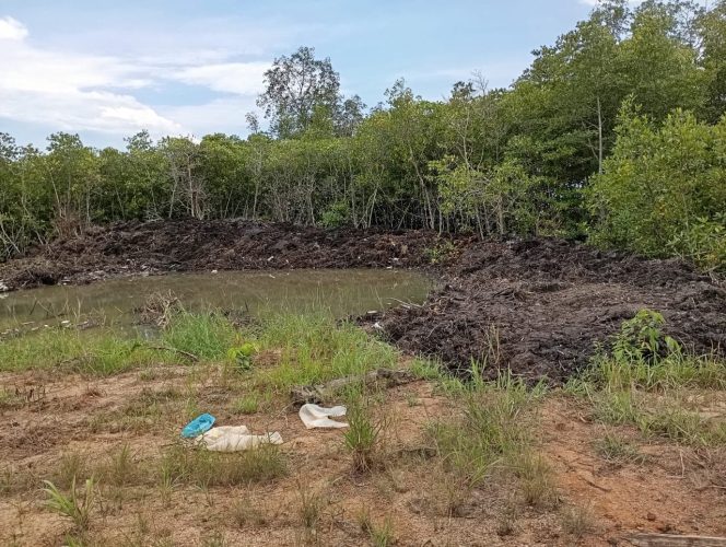 
					Polisi masih melakukan penyelidikan tambak udang yang diduga belum mengantongi izin di Desa Pengujan, Kecamatan Teluk Bintan Kabupaten