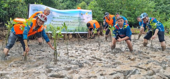 
					PT PLN Batam menanam 1.000 pohon mangrove bersama Forum Peduli Lingkungan Kota Batam dan Citra Mas dalam rangka peringatan Hari Konservasi Alam Nasional (HKAN) tahun 2024 di sekitar Kawasan Mangrove Nongsa, Sabtu (10/8/2024).