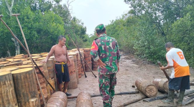 
					Babinsa Koramil 03/Kundur melakukan pemeriksaan terhadap ratusan tuai sagu yang dibawa dari Penarah.