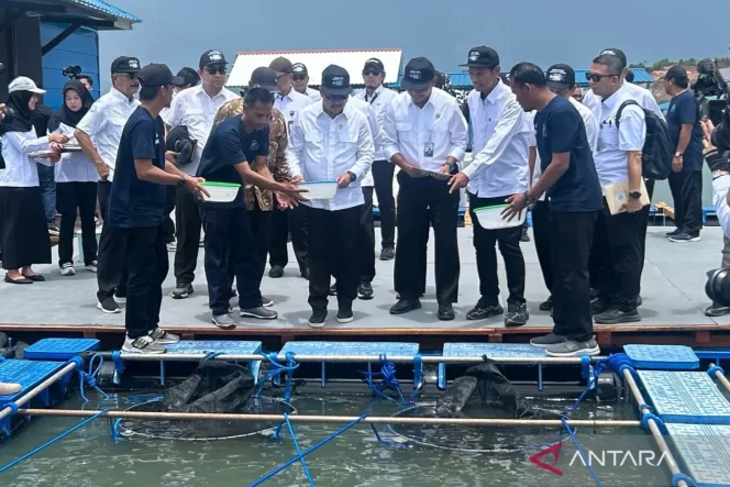 
					Menteri Kelautan dan Perikanan (KKP) RI, Sakti Wahyu Trenggono dalam peresmian Modeling Budi Daya Lobster di Balai Perikanan Budi Daya Laut (BPBL), Setokok, Barelang Batam, Kepri.