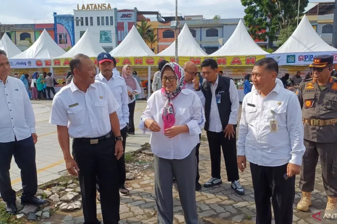 
					Plt Gubernur Kepri, Marlin Agustina didampingi sejumlah Kepala OPD meninjau gerakan pangan murah (GPM), di depan Mal Ramayana Kota Tanjungpinang, Rabu (16/10) (Ist)