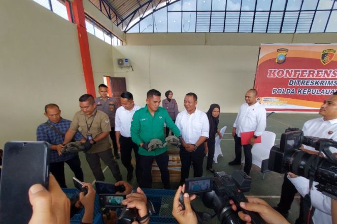 
					 Tim BKSDA Kepri dan Polda Kepri memperlihatkan barang bukti (BB) kura-kura Baning Cokelat yang akan diselundupkan dari Batam ke Singapura, di Makopolda Kepri (ist).