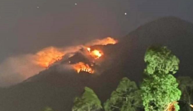 
					Kebakaran yang terus meluas di lereng barat Gunung Agung.
(f/nusabali).