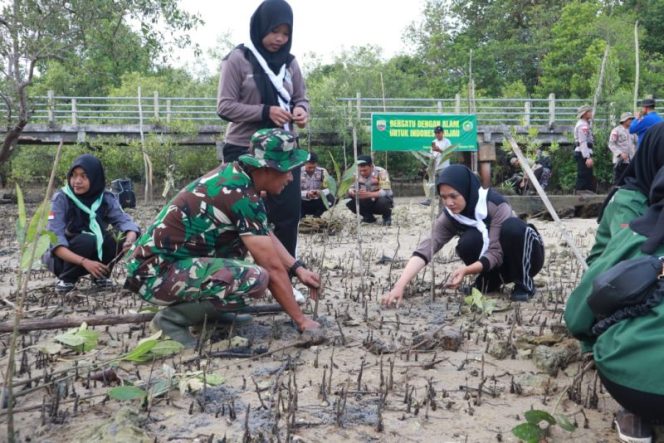 
					Kodim 0317/TBK, Lanal TBK, Polres Karimun, Kompi 2 Pelopor A Brimob, FKPPI, mahasiswa, pelajar, serta masyarakat setempat menanam mangrove di pesisir Desa Pongkar, Kabupaten Karimun. (ist)