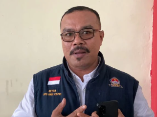 Ketua DPD HNSI Kepulauan Riau, Distrawandi (ist)