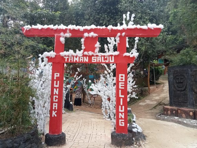 
					Puncak Beliung, yang terletak di Tanjung Riau, Kecamatan Sekupang.
Foto: Atika/HarianHaluanKepri