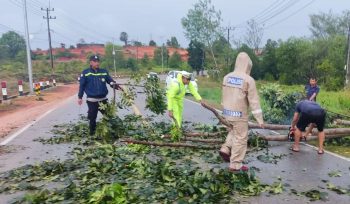 Beberapa Personil Polsek Bintan Utara saat melakukan pemotongan dan pembersihan  pohon tumbang yang membentang di Jalan Indunsuri, Tanjung Uban, tepatnya di depan Gereja Don Bosco, Kabupaten Bintan, Minggu (12/01/2025) sekira pukul 06.00 WIB.