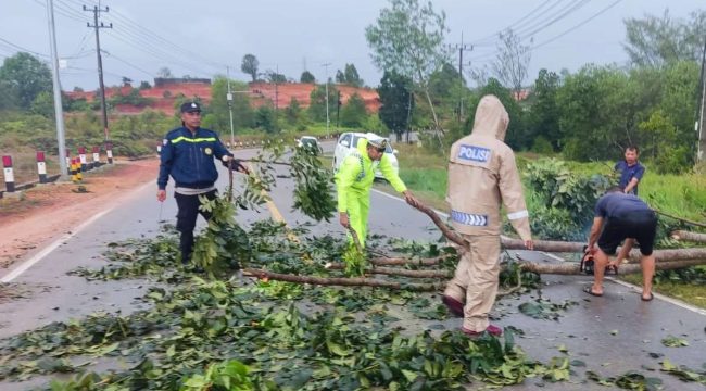 Beberapa Personil Polsek Bintan Utara saat melakukan pemotongan dan pembersihan  pohon tumbang yang membentang di Jalan Indunsuri, Tanjung Uban, tepatnya di depan Gereja Don Bosco, Kabupaten Bintan, Minggu (12/01/2025) sekira pukul 06.00 WIB.