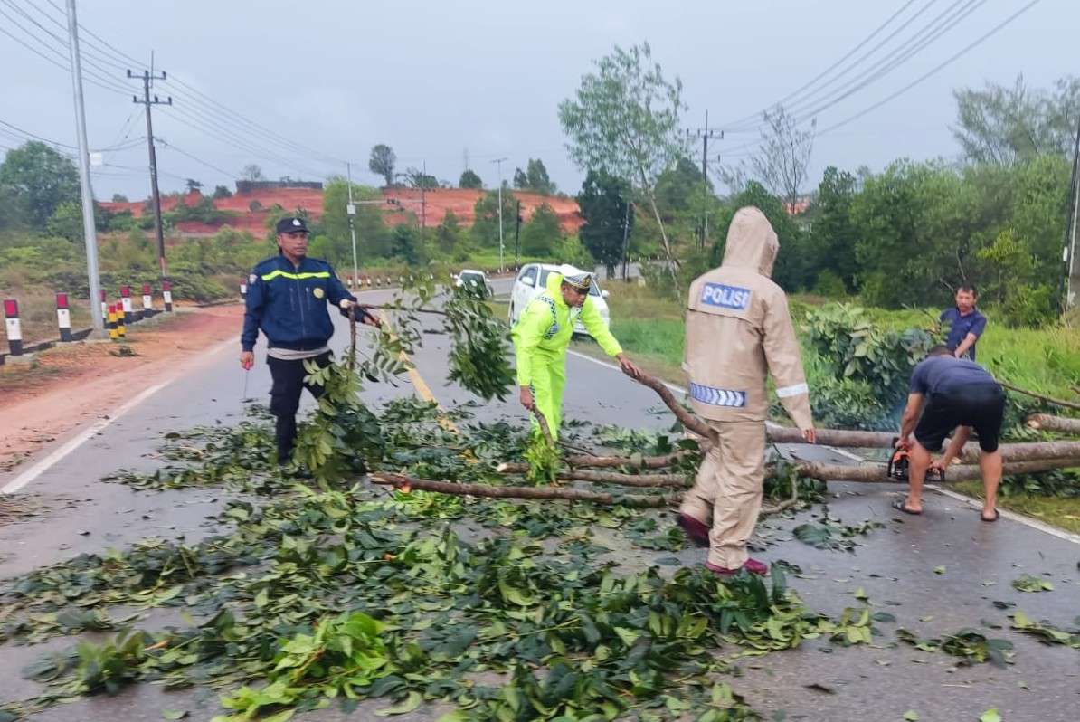 Beberapa Personil Polsek Bintan Utara saat melakukan pemotongan dan pembersihan pohon tumbang yang membentang di Jalan Indunsuri, Tanjung Uban, tepatnya di depan Gereja Don Bosco, Kabupaten Bintan, Minggu (12/01/2025) sekira pukul 06.00 WIB.