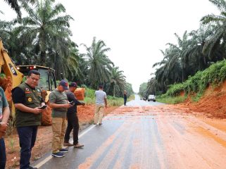 Sekda Bintan Ronny Kartika saat memantau jalan Lintas Timur