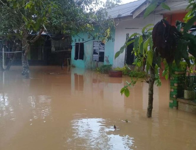 
					Ratusan Warga Tanjungpinang Diungsikan Akibat Hujan Deras