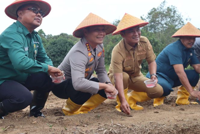 
					Kapolresta Tanjungpinang, Kombes Pol. Hamam Wahyudi, bersama Forkopimda kompak saat ikuti kegiatan Swasembada Pangan tahun 2025 secara virtual, bertempat di Kampung Wak Lolang, Kelurahan Dompak, Kecamatan Bukit Bestari, Kota Tanjungpinang, Selasa (21/1/2025).
