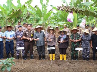 Polres Bintan bersama Forkopimda saat melakukan kegiatan Penanaman Jagung Serentak 1 Juta Hektar yang dilaksanakan di lahan tumpang sari Toapaya Kec. Toapaya, Selasa (21/01/2025).

