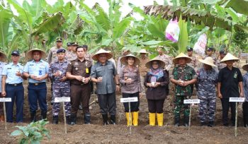 Polres Bintan bersama Forkopimda saat melakukan kegiatan Penanaman Jagung Serentak 1 Juta Hektar yang dilaksanakan di lahan tumpang sari Toapaya Kec. Toapaya, Selasa (21/01/2025).

