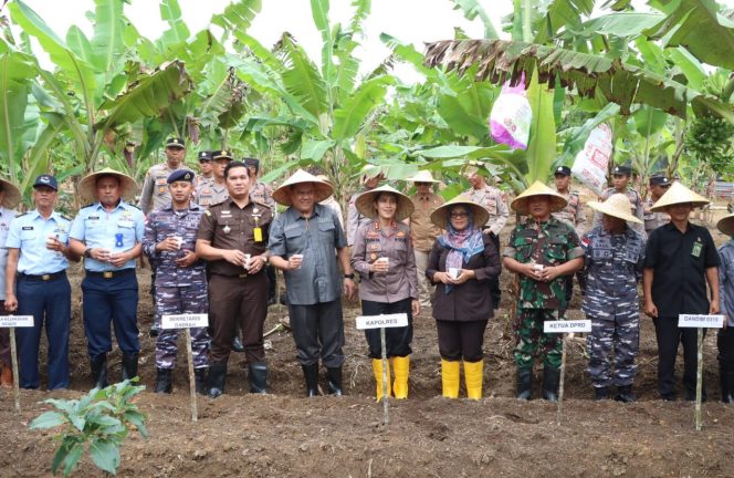 
					Polres Bintan bersama Forkopimda saat melakukan kegiatan Penanaman Jagung Serentak 1 Juta Hektar yang dilaksanakan di lahan tumpang sari Toapaya Kec. Toapaya, Selasa (21/01/2025).

