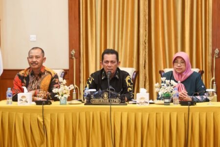Gubernur Kepri Ansar Ahmad saat menyampaikan sambutan dalam Entry Meeting Pemeriksaan LKPD Tahun 2024