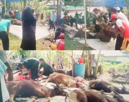 Merayakan Idul Adha 1446 Hijriah, sebanyak 40 orang warga negara Singapura berkurban enam ekor sapi di Masjid Al-Qona’ah Jalan Batu Kucing Tanjungpinang Provinsi Kepulauan Riau, Sabtu (07/06/2025)