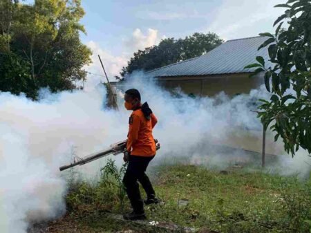 Dinkes Dalduk dan KB bersama BPBD dan BKK Tanjungpinang melaksanakan fogging) di sejumlah wilayah terdampak DBD