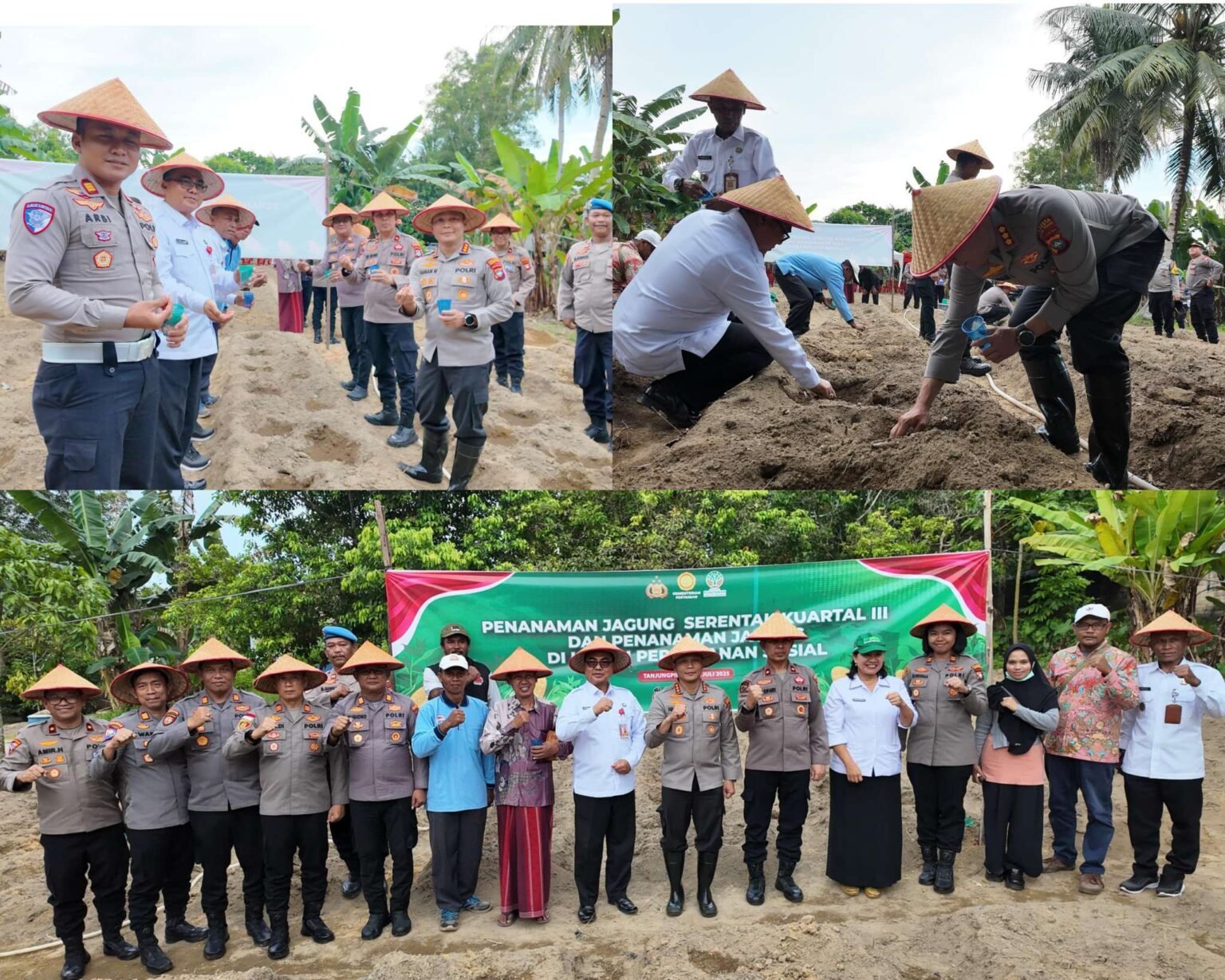 Polresta Tanjungpinang melaksanakan penanaman jagung kuartal III di lahan perhutanan sosial. Rabu (9/7/2025).