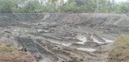 pembukaan kolam tambak udang milik Ay di Desa Persing, Kecamatan Singkep Pesisir///