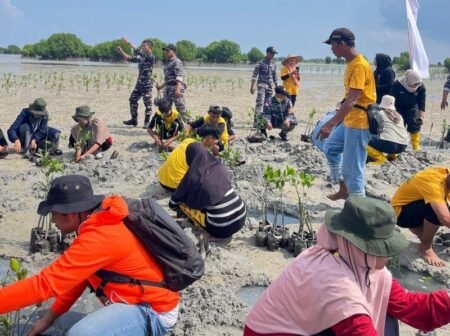 Mahasiswa KKN STAIN SAR Kepri turun ke lumpur, selamatkan pesisir dengan me an am mangrove