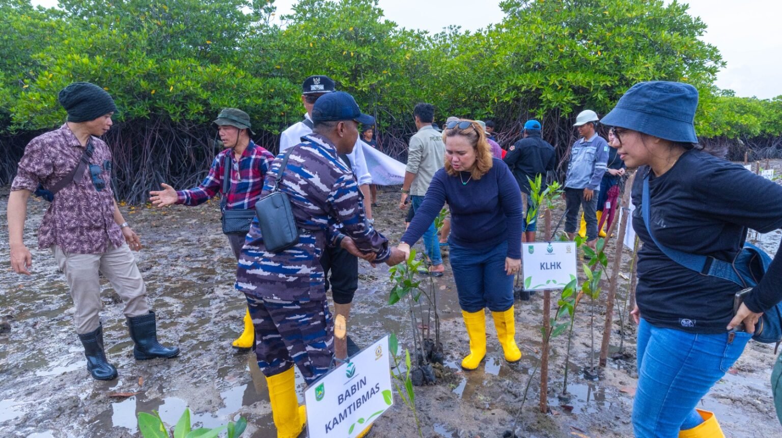 PT Batamraya Sukses Perkasa Tanam Ribuan Bibit Mangrove di Pesisir Pulau Ngenang