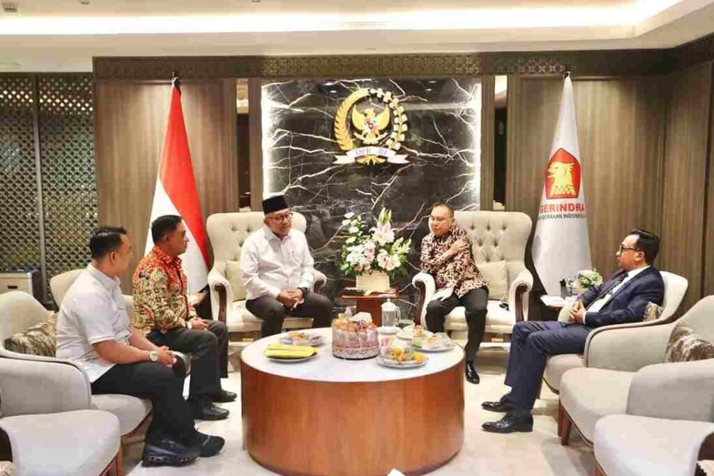 Wakil Ketua DPR RI Sufmi Dasco Ahmad saat menerima kunjungan Walikota Tanjungpinang Lis Darmansyah di Jakarta