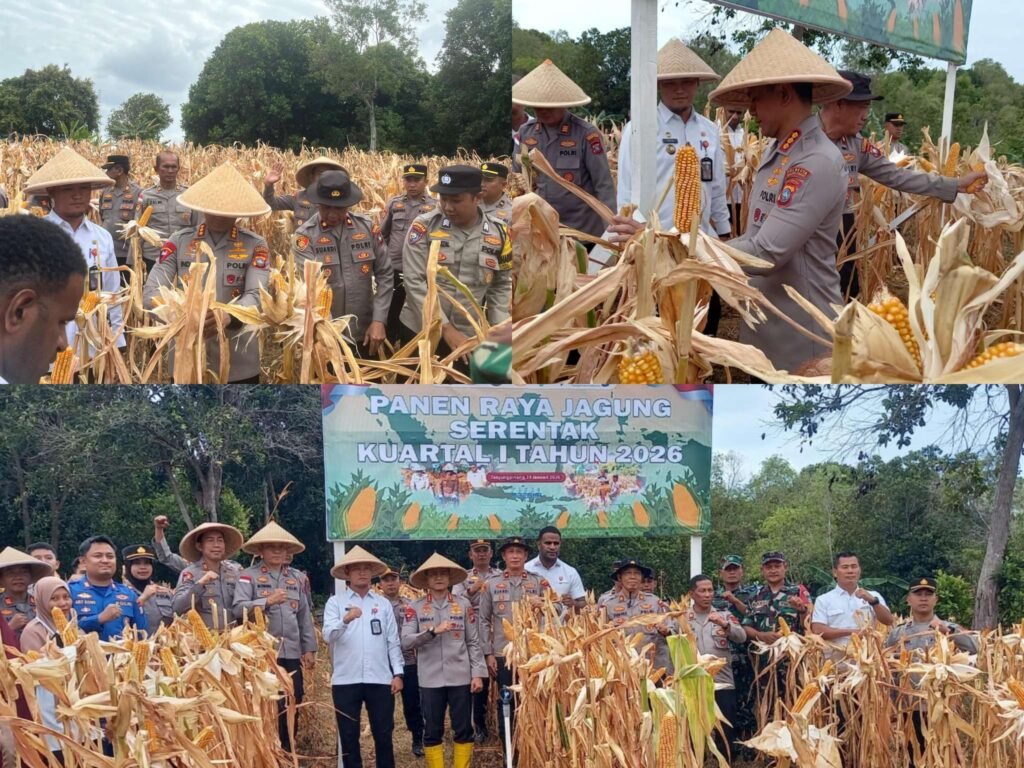 Polresta Tanjungpinang melalui Polsek Bukit Bestari saat menggelar Panen Raya Jagung Pipil Kuartal 1 tahun 2026 bertempat di kebun Tanjung Siambang, RT2 RW 1 Kelurahan Dompak, Rabu, 28 Januari 2026.