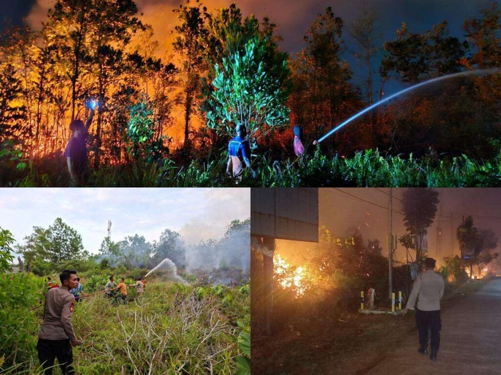 6 Jam Lebih, Polisi dan Petugas Damkar Bertukus Lumus Padamkan Kebakaran 5 Hektar Lahan Kosong di KM.15 Kota Tanjungpinang 6 Jam Lebih, Polisi dan Petugas Damkar Bertukus Lumus Padamkan Kebakaran 5 Hektar Lahan Kosong di KM.15 Kota Tanjungpinang