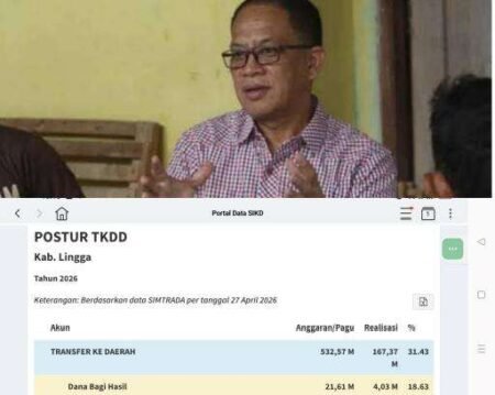 Screenshot TKDD Kabupaten Lingga dari laman Kemenku