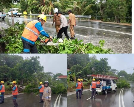 Reaksi Cepat Personil Polsek Tanjungpinag Kota Evakuasi Pohon Tumbang Timpa Kabel Listrik dan Tutupi Akses Jalan