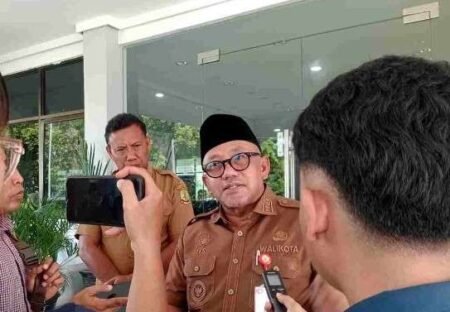 Walikota Tanjungpinang, Lis Darmansyah