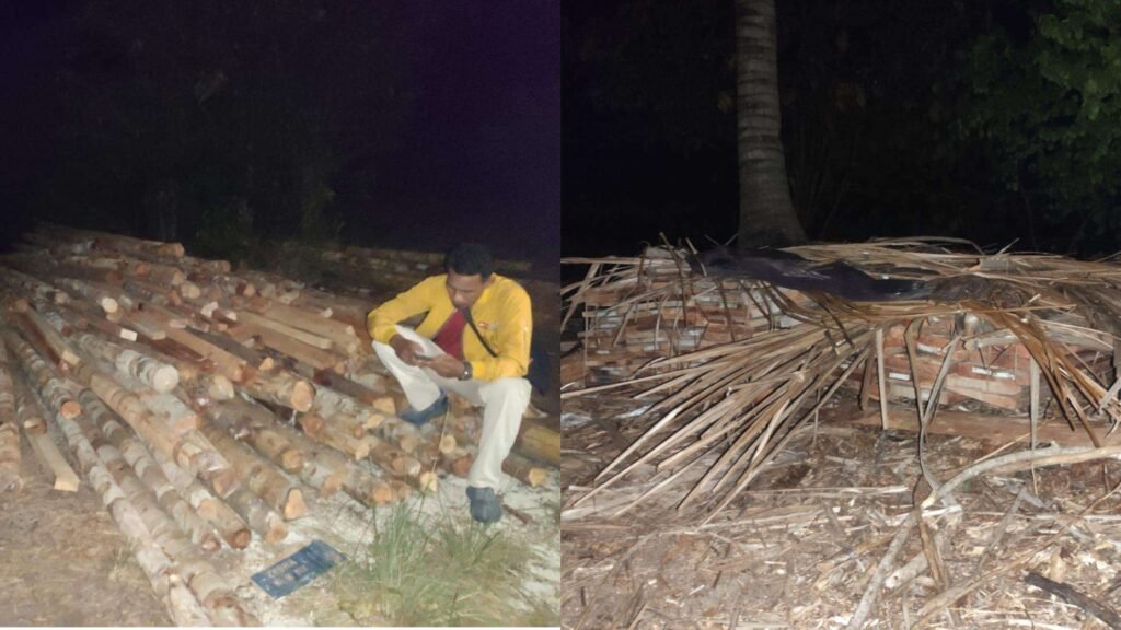 Aksi Ilegal Logging Diduga Marak di Singkep, Projo Lingga Minta Penegak Hukum Bertindak Tegas "Tidak Tutup Mata"