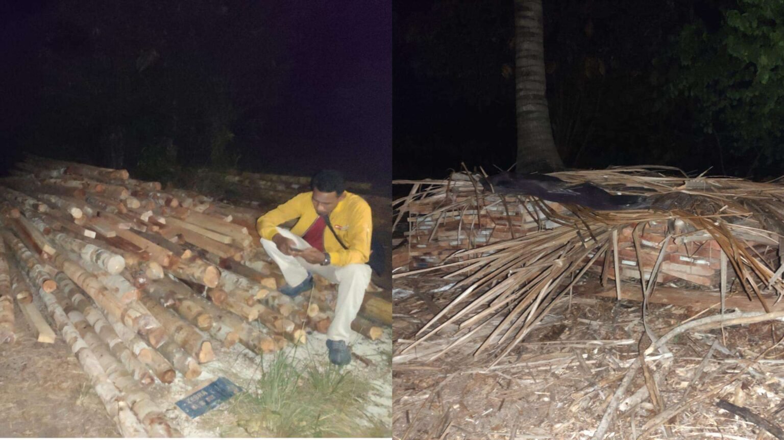 Aksi Ilegal Logging Diduga Marak di Singkep, Projo Lingga Minta Penegak Hukum Bertindak Tegas “Tidak Tutup Mata” Aksi Ilegal Logging Diduga Marak di Singkep, Projo Lingga Minta Penegak Hukum Bertindak Tegas "Tidak Tutup Mata"