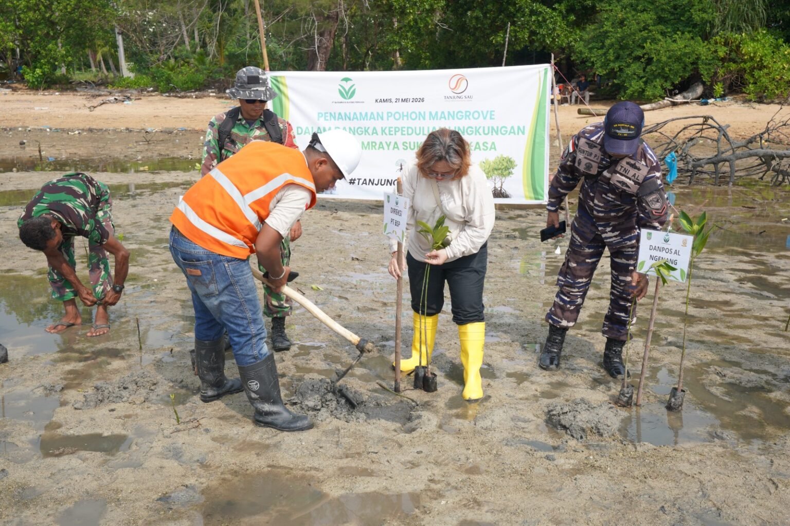 PT BSP Kembali Tanam 1.000 Mangrove di Pulau Ngenang, Perkuat Komitmen Hijau KEK Tanjung Sauh
