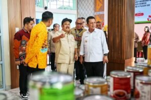 Menteri PPN/Bappenas RI Rachmat Pambudy didampingi Gubernur Kepri Ansar Ahmad melihat sejumlah produk unggulan UMKM yang dipamerkan di Gedung Dekranasda Provinsi Kepri, Tanjungpinang.