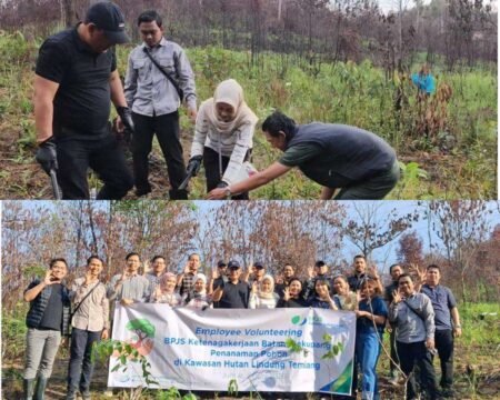 Kepala BPJS Ketenagakerjaan Batam Sekupang, Budi Pramono, bersama jajarannya melaksanakan kegiatan Employee Volunteering dengan penanaman pohon penghijauan jenis Meranti di kawasan Hutan Lindung Temiang, Kota Batam, Kepri, Jumat (5/6/2026), pagi.
