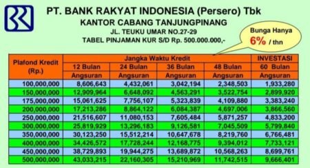 Dorong UMKM Semakin Produktif, BRI Cabang Tanjungpinang Salurkan KUR Rp696 Miliar Hingga Mei 2026