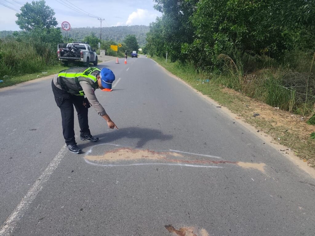 Anggota Satlantas Polres Bintan saat melakukan olah TKP kecelakaan lalulintas di kawasan Jalan Raya Korindo, Kelurahan Sungai Lekop, Kecamatan Bintan Timur, Senin (15/06/2026)  