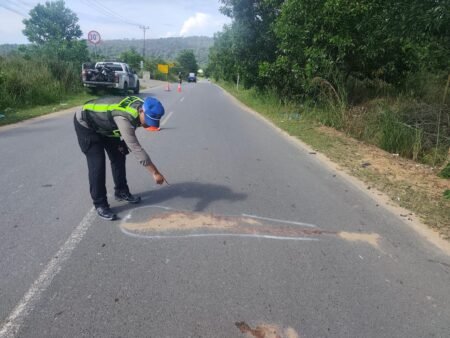 Anggota Satlantas Polres Bintan saat melakukan olah TKP kecelakaan lalulintas di kawasan Jalan Raya Korindo, Kelurahan Sungai Lekop, Kecamatan Bintan Timur, Senin (15/06/2026)  