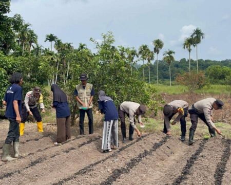 Kolaborasi Bersama Mahasiswa KKN UGM, Polsek Jemaja Tanam Jagung Pipil Dukung Program Asta Cita
