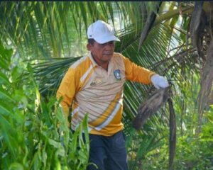 Gubernur Kepri Ansar Ahmad membersihkan sampah dalam kegiatan gotong royong yang ia pimpin di Pulau Penyengat, Minggu (19/7/2026).(ft.Pemprov Kepri)