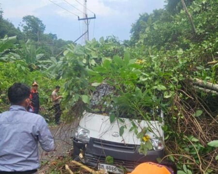 Respon Cepat Polsek Siantan dan BPBD Evakuasi Mobil Ekspedisi Tertimpa Pohon Tumbang