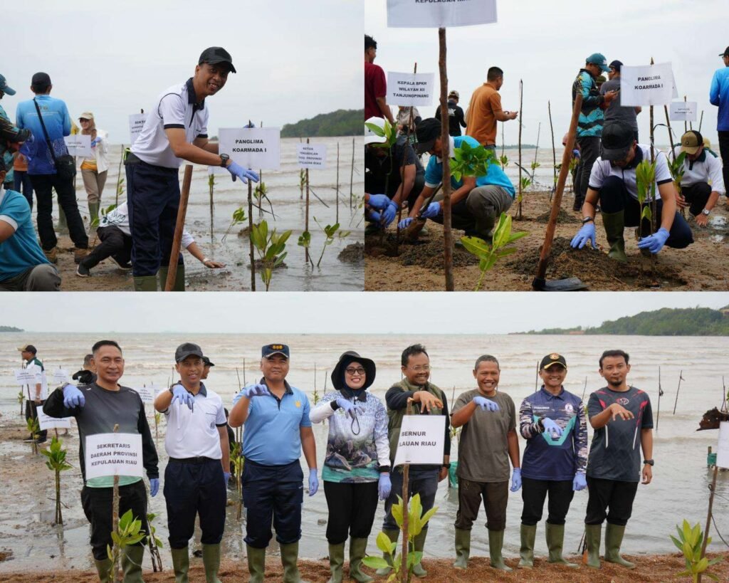 Koarmada I Bersama Masyarakat Tanam Mangrove di Pesisir Pantai di Bintan