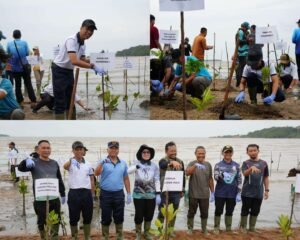 Koarmada I Bersama Masyarakat Tanam Mangrove di Pesisir Pantai di Bintan