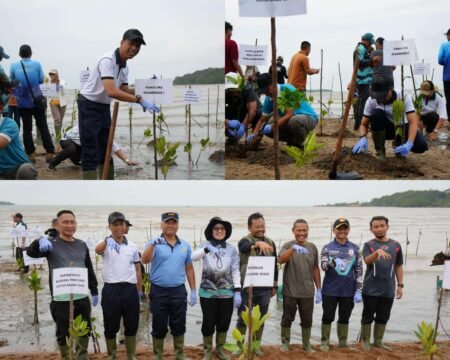 Koarmada I Bersama Masyarakat Tanam Mangrove di Pesisir Pantai di Bintan