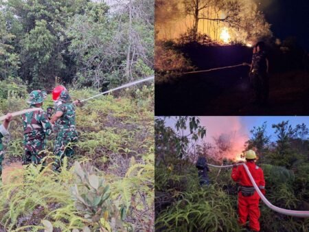 Tim Damkar Kodim 0315/Tanjungpinang Bertukus Lumus Padamkan Kebakaran Lahan 2 Hektare di Desa Toapaya Bintan