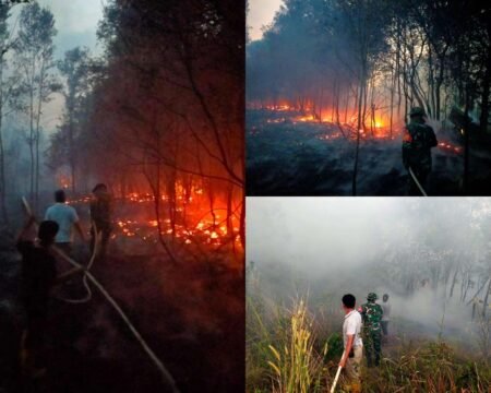 Para Babinsa dan Damkar Berjibaku Padamkan Api Karhutla di Kampung Cikolek Dusun I, Desa Toapaya, Kecamatan Toapaya, Kabupaten Bintan, Kamis (27/8/2026).(ft Pendim)