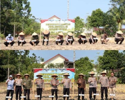 Polres Bintan melaksanakan kegiatan penanaman jagung pipil Kuartal III Tahun 2026 sebagai bentuk dukungan terhadap program ketahanan pangan nasional, Kegiatan tersebut dilaksanakan di lahan Polres Bintan. Kamis (03/09/26).
